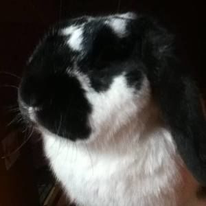 Meet your Posher, Caitlin